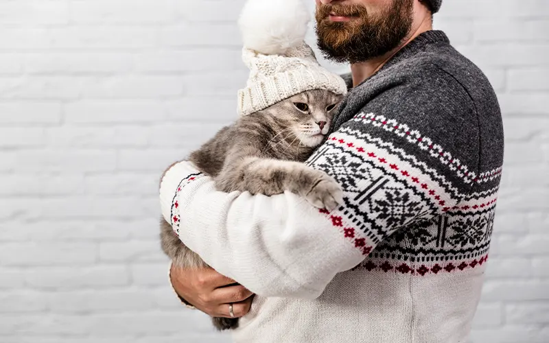Freigänger Katzen umsiedeln, Freigänger Katze umziehen, Katze Revierwechsel, Katze umsiedeln nach Umzug, Freigang nach Umzug, Katze nach Umzug rauslassen, Katze Eingewöhnung neue Wohnung, Katze neues Revier, Katze Umzug Tipps, Katze Transportbox Training, Katzenraum Umzug, Katze entwischt Umzug, Katze orientierungslos nach Umzug, Katze zurück ins alte Revier, Katze nach Umzug drinnen lassen, Freigänger Katze Eingewöhnungszeit, Katze Umzug Wien, Umzug mit Katze, Katze Stress reduzieren, Katze Geruchsanker, Katzenroutine nach Umzug, Katzensicherheit Balkon Fenster